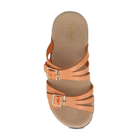 Ortal thumbnail image