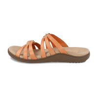 Ortal thumbnail image